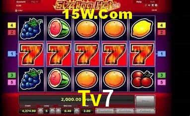 Sistemas de Segurança Tv7