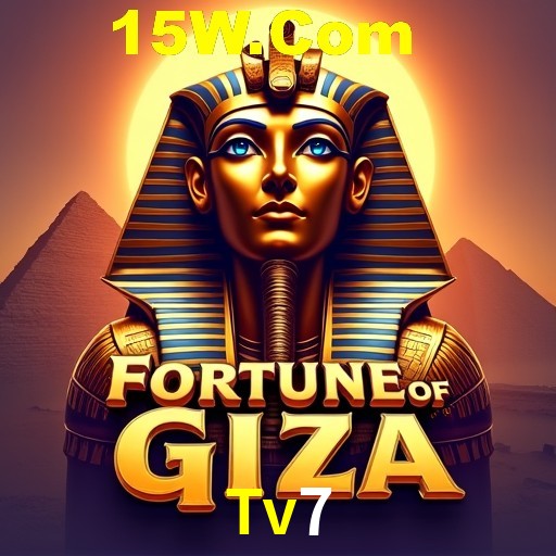 Tv7 Salvador - Bonus Stats